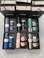 Regalo de Navidad 3 uds viaje al aire libre café té termo vacío botella de agua de acero inoxidable juego de regalo con 2 tazas