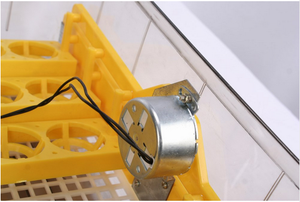 Incubateur <span class=keywords><strong>Janoel</strong></span> 96 certifié CE, capacité 100 œufs de poule, incubateurs à œufs pour 1000 œufs, usage domestique - Product Image 4