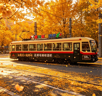 Tren turístico ferroviario dedicado a zonas turísticas, tranvía de ciudad de renombre en internet, configuración multiunidad con personalización de origen.