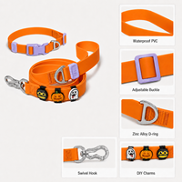Ensemble collier et laisse pour chien en PVC imperméable pour Halloween, breloques détachables à thème de dessin animé, collier et laisse ajustables personnalisés pour chiens