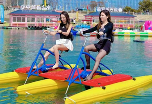 <strong>Electric</strong> Leisure <strong>Boat</strong>, Lake Cruiser, Small <strong>Motor</strong> <strong>Boat</strong>, Sightseeing <strong>Pleasure</strong> Craft, Family <strong>Electric</strong> Yacht - Product Image 2