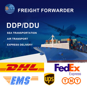 Agente de Envíos de China a Martinique Francisburg FCL LCL Express UPS DHL Servicios Logísticos Transitario de Carga Aérea y Marítima - Product Image 2