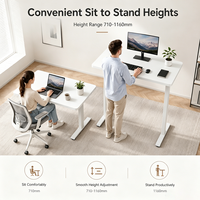 Bureau debout électrique ergonomique moderne extensible à moteur unique, réglable, fixation murale, poste de travail pour bureau à domicile, commandes en gros