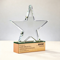 Nouvelles récompenses en cristal de luxe pour artistes, avec base en bois personnalisée, gravure laser 3D en forme d'étoile de haute qualité, pour événements musicaux