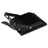 Proveedor Oro con 9 Años de Experiencia, Reflector LED de 10W y 1200lm, Rojo, Azul, Verde, Blanco, 12V, UV, para Jardín, con Clasificación IP65