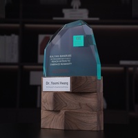 Trophées en bois massif gravés sur mesure, créatifs, haut de gamme, imprimés UV, durables, plaques d'honneur agréées, récompenses de compétition
