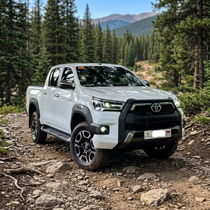 Prêt à expédier 2025 – Camionnette industrielle d'occasion en acier inoxydable, 4x4, diesel/essence, modèle Fairy - Product Image 2