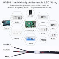 Lampu LED String WS2811 WS2812 5V 3PIN Kabel Hitam Warna Impian RGBIC Dapat Diatur Secara Individual Lampu Peri Natal Plastik