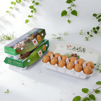 Anpassbare Biologisch Abbaubare Papierfaser-Eierverpackung 12/18 Zellen Kartonbox mit Schnappverschluss Matt Laminiert Lebensmittelsicher Marke XIEFA