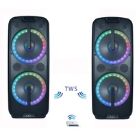 Système de haut-parleurs PA 1000W avec deux woofers de 15 pouces, ensembles de karaoké, boîte à son, audio professionnel TWS, LED, FM, AUX, ECHO, Bocina Parlante