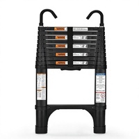 Échelle extensible pliable en aluminium léger avec 2 stabilisateurs et crochets, charge maximale pour camping-car et utilisation en extérieur