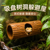 Décoration en bois avec ventouse pour lézard, accessoires pour reptiles, gecko à cils, cachette géante pour gecko