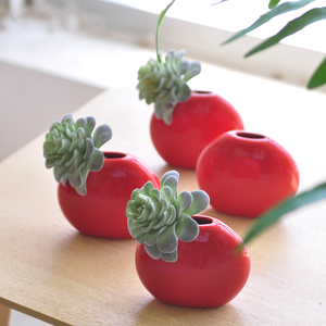 <span class=keywords><strong>Piante</strong></span> succulente <span class=keywords><strong>artificiali</strong></span>, <span class=keywords><strong>piante</strong></span> grasse finte <span class=keywords><strong>realistiche</strong></span> per la decorazione <span class=keywords><strong>da</strong></span> ufficio per la scrivania a casa verde - Product Image 2