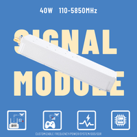 Module DDS 100-6000mhz 40W Anti FPV GaN Module d'amplificateur de puissance de Modulation numérique Module Lora compteur Mavic supprimant les drones