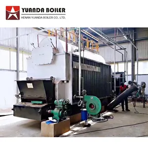 DZ 3t biomass fired steam boiler