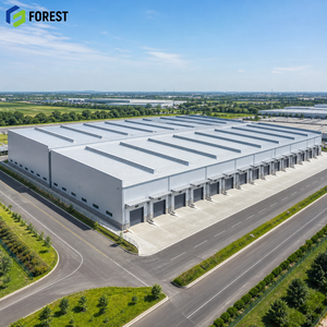 Edificio de Almacenamiento de Acero Prediseñado Resistente a la Corrosión, Instalación de Almacenamiento de Mercancías Comerciales de Gran Envergadura - Product Image 1