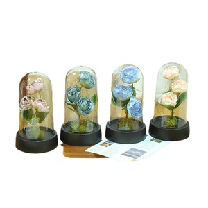 <span class=keywords><strong>Rose</strong></span> artificielle, œillet, fleur éternelle, ornement, lumière nocturne créative LDE, cadeau de Noël, décoration de chevet de dortoir, vente en gros - Product Image 5