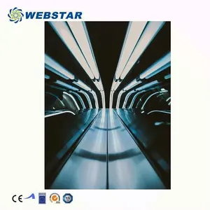 Weibo Fuji Eskalator Dalam/Luar Ruangan, Eskalator Listrik Stainless Steel untuk Bepergian