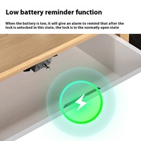 Serrure de porte de placard de maison intégrée sans perçage, en alliage de zinc et aluminium, avec carte mémoire RFID, pour tiroir de meuble de rangement de bureau en bois