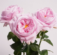 Décorations de table de luxe légères Austin Juliet de haute qualité au toucher réel, roses artificielles hydratantes, bouquets de mariage