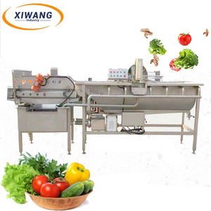 Équipement de lavage à courant d'air pour légumes en acier inoxydable 800 kg/h - Product Image 4