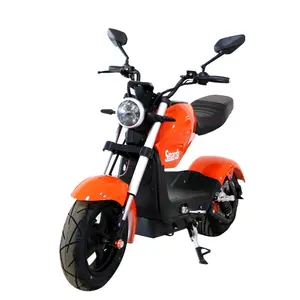 Top Sale 2024 Electric Scooters Motorcycle 1500w Citycoco Two Wheel Off Road Bicycle 50cc