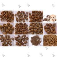 Extrudeuse de type sec DGP60 pour aliments flottants pour poissons, maïs, soja, volailles, bétail et animaux domestiques – Machine de granulation