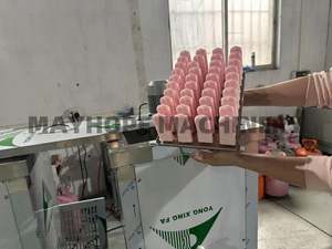 <span class=keywords><strong>1</strong></span> máquina de paletas de moldes/máquina de paletas de hielo/máquina de paletas - Product Image 3