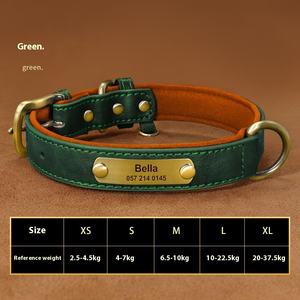 <span class=keywords><strong>Collar</strong></span> de <span class=keywords><strong>perro</strong></span> antipérdida de patrón sólido con cintas decoradas con grabado láser para perros pequeños y medianos, cinta de cuero para <span class=keywords><strong>Collar</strong></span> de <span class=keywords><strong>perro</strong></span> - Product Image 6