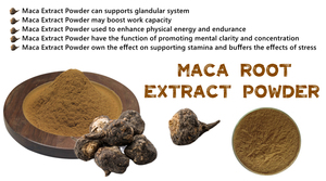 100% <span class=keywords><strong>natural</strong></span> de maca 3 raíz polvo gelatinizado maca en polvo orgánico - Product Image 4