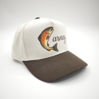 Casquette Sportive Unisexe à 6 Panneaux Personnalisable avec Logo, en Coton, Tissu Éponge, Oxford, Popeline, Dobby, Argyle, Léopard, Pois, Fruits, Réglable, Vente en Gros OEM