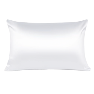 Professional OEM ODM Luxury Silk Pillowcase Set <strong>Personalised</strong> Embroidery Logo Custom Color and Size <strong>Pillow</strong> <strong>case</strong> - Product Image 1