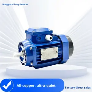 Y3 तीन-चरण अतुल्यकालिक मोटर, तीन-चरण 2/4/6 ध्रुवों, 220v/380v लोहा/एल्यूमीनियम-शामिल तीन-चरण मोटर - Product Image 5