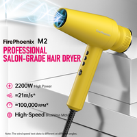 Sèche-cheveux professionnel FirePhoenix M2 2200W avec moteur sans balais, ionique anti-frisottis, température constante, auto-nettoyant, 430g, prise EU