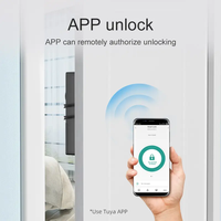 Serrure de Porte Invisible Intelligente OEM pour Intérieur, Serrure Électronique Tuya BLE pour Porte en Bois avec Carte à Balayer