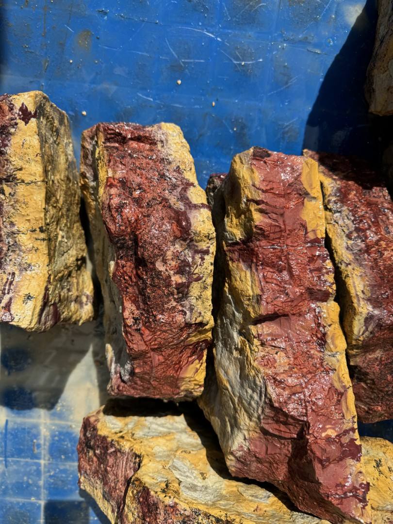 ธรรมชาติ