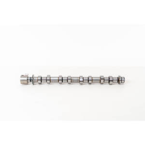 Albero a Camme Adatto per RENAULT 8200825144 Alberi di Distribuzione - Product Image 1