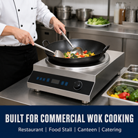 Cuisinière à induction commerciale concave 220V 3.5kW 5kW avec wok de 450mm à double poignée pour cuisson à la poêle