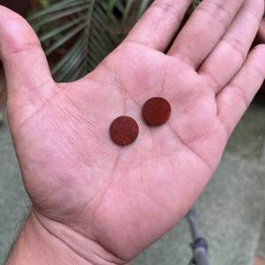 แจสเปอร์สีแดงธรรมชาติ 12 มม. ทรงกลมแบน คาโบชอง พลอย 2 กะรัต สำหรับทำเครื่องประดับ จี้ แหวน สำหรับผู้ชาย ผู้หญิง - Product Image 5