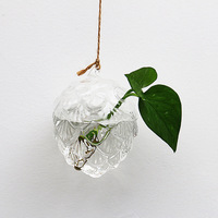 Vase suspendu en verre transparent, globe suspendu, terrarium pour décoration, vase de différentes formes