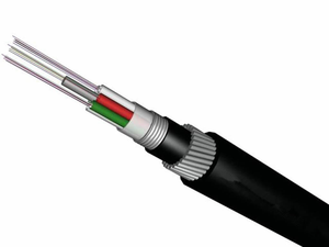 <span class=keywords><strong>Cable</strong></span> de <span class=keywords><strong>Fibra</strong></span> Óptica Submarino para Agua de Mar GYTA33 GYTY33 GYFTY33, <span class=keywords><strong>Cable</strong></span> de Acero, 6 12 24 32 48 Núcleos, <span class=keywords><strong>Cable</strong></span> de <span class=keywords><strong>Fibra</strong></span> Óptica Subterráneo - Product Image 4