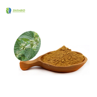 Pabrik SLBIO Menyediakan Bubuk Ekstrak Marrubium Vulgare White Horehound Berkualitas Tinggi 10:1