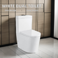 WC monobloc moderne en céramique blanche à double chasse, cuvette allongée sans bride, à poser au sol, avec siphon en P ou en S, pour la maison ou les hôtels