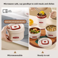800ML Große Kapazität 316 Edelstahl Tragbarer Isolierter Lunchbehälter Set Thermische Bento-Box Mehrschichtige Lunchbox Mit Tasche