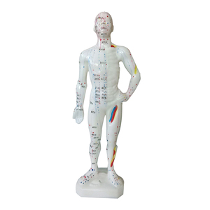 Zhongyan Taihe Acupunctuurtherapie Van Het Traditionele Chinese Geneeskunde Menselijk Puntmodel - Product Image 3