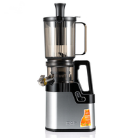 Extracteur de jus lent RAF 250W R.2730 500 ml 60 tr/min avec tige de broyage à grand calibre, démarrage rapide, brosse de nettoyage facile et tige de poussée