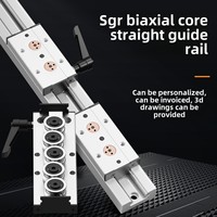 SGR10 double axe CNC Rail de guidage linéaire piste mécanique rouleau de verrouillage curseur 10/15/20/25 île Table glissière Rail roulement bloc