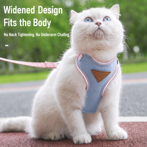 Correa y Arnés para Perro Pequeño XS, Diseño Anti-Tirones, Detalles Reflectantes, Chaleco Estilo H para Paseos al Aire Libre - Product Image 6
