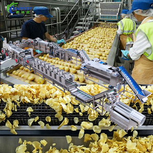 Machine automatique Shepody à bas prix pour la production de <span class=keywords><strong>frites</strong></span> surgelées semi-<span class=keywords><strong>frites</strong></span> 500 kg/h 1 tonne/h, ligne de fabrication de chips de pommes de terre - Product Image 3