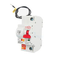 Disjoncteur intelligent WiFi Tuya 2P sur rail DIN, protection complète de la maison, AC120/230V 16A~125A, commande à distance par application, 6kA